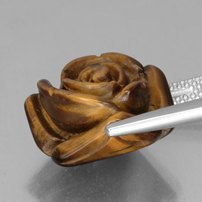 Tiger's eye marron naturelle forme fantaisie, 12,52 ct, opaque