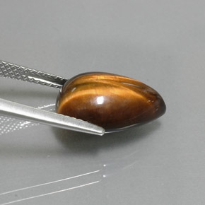 Tiger's eye marron naturelle en forme de poire, 5,67 ct, opaque