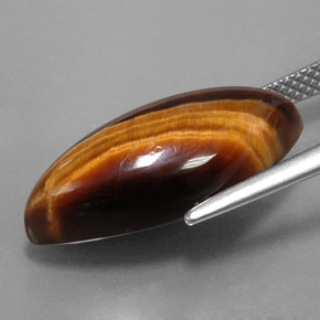 Tiger's eye marron naturelle marquise, 8,51 ct, opaque