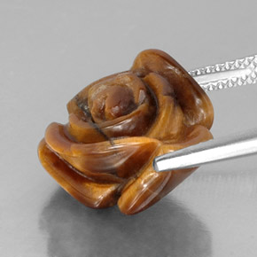 Tiger's eye marron naturelle forme fantaisie, 10,22 ct, opaque