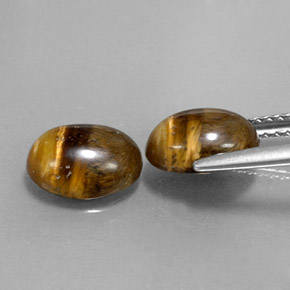 Achetez naturel ct marron tiger's eye gems, coupe ovale, en provenance thaïlande chez gemselect. en stock, livraison internationale!