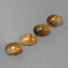 Achetez naturel 7,27ct marron tiger's eye gems, coupe ovale, en provenance thaïlande chez gemselect. en stock, livraison internationale!