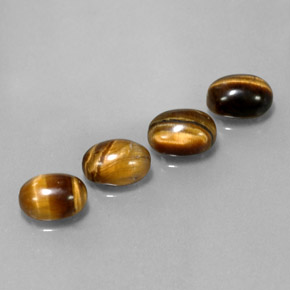 Achetez naturel ct marron tiger's eye gems, coupe ovale, en provenance thaïlande chez gemselect. en stock, livraison internationale!
