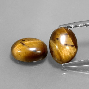 Achetez naturel ct marron tiger's eye gems, coupe ovale, en provenance thaïlande chez gemselect. en stock, livraison internationale!