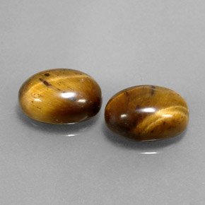 Achetez naturel ct marron tiger's eye gems, coupe ovale, en provenance thaïlande chez gemselect. en stock, livraison internationale!