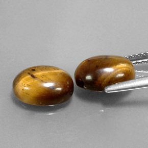 Achetez naturel ct marron tiger's eye gems, coupe ovale, en provenance thaïlande chez gemselect. en stock, livraison internationale!