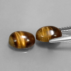Achetez naturel ct marron tiger's eye gems, coupe ovale, en provenance thaïlande chez gemselect. en stock, livraison internationale!
