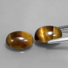 Achetez naturel ct marron tiger's eye gems, coupe ovale, en provenance thaïlande chez gemselect. en stock, livraison internationale!