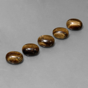 Achetez naturel 10,03ct marron tiger's eye gems, coupe ovale, en provenance thaïlande chez gemselect. en stock, livraison internationale!