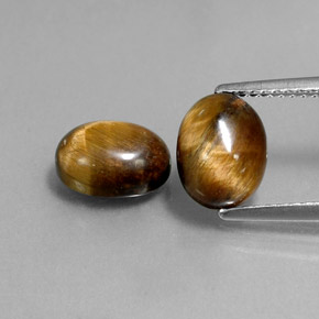 Achetez naturel ct marron tiger's eye gems, coupe ovale, en provenance thaïlande chez gemselect. en stock, livraison internationale!