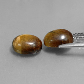 Achetez naturel ct marron tiger's eye gems, coupe ovale, en provenance thaïlande chez gemselect. en stock, livraison internationale!