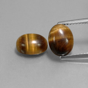 Achetez naturel ct marron tiger's eye gems, coupe ovale, en provenance thaïlande chez gemselect. en stock, livraison internationale!