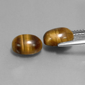 Achetez naturel ct marron tiger's eye gems, coupe ovale, en provenance thaïlande chez gemselect. en stock, livraison internationale!