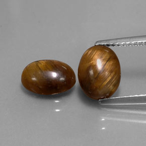 Achetez naturel ct marron œil de tigre gems, coupe ovale, en provenance thaïlande chez gemselect. en stock, livraison internationale!