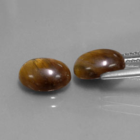 Achetez naturel ct marron œil de tigre gems, coupe ovale, en provenance thaïlande chez gemselect. en stock, livraison internationale!