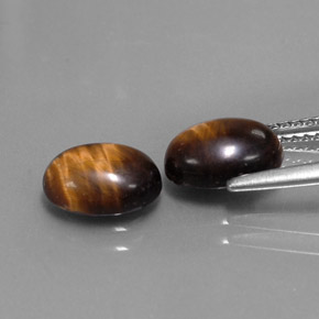Achetez naturel ct marron tiger's eye gems, coupe ovale, en provenance thaïlande chez gemselect. en stock, livraison internationale!