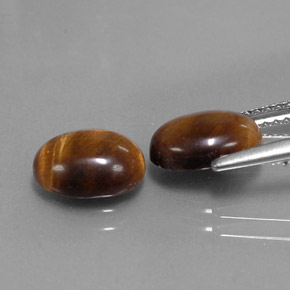 Achetez naturel ct marron tiger's eye gems, coupe ovale, en provenance thaïlande chez gemselect. en stock, livraison internationale!