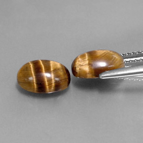 Achetez naturel ct marron tiger's eye gems, coupe ovale, en provenance thaïlande chez gemselect. en stock, livraison internationale!