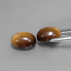 Achetez naturel ct marron tiger's eye gems, coupe ovale, en provenance thaïlande chez gemselect. en stock, livraison internationale!