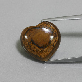 Tiger's eye marron naturelle forme de coeur, 8,46 ct, opaque