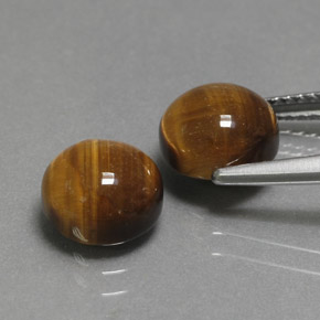 Achetez naturel ct marron tiger's eye gems, coupe roude, en provenance thaïlande chez gemselect. en stock, livraison internationale!