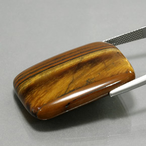 Oeil de Tigre Or Brun naturelle Coupe coussin, 47.03 ct, Opaque