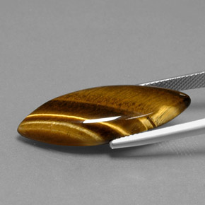 Tiger's eye marron naturelle marquise, 16,23 ct, opaque