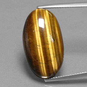 Tiger's eye marron naturelle coupe ovale, 19,73 ct, opaque