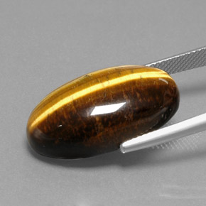 Tiger's eye marron naturelle coupe ovale, 19,73 ct, opaque