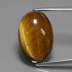 Tiger's eye marron naturelle coupe ovale, 18,74 ct, opaque