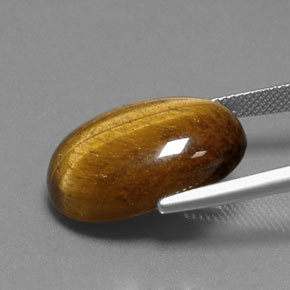 Tiger's eye marron naturelle coupe ovale, 18,74 ct, opaque