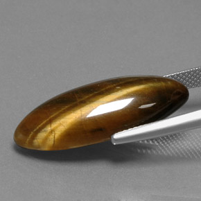 Tiger's eye marron naturelle marquise, 14,53 ct, opaque