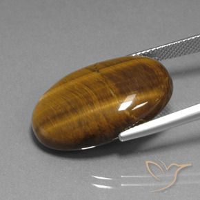 Œil de tigre Marron chaud naturelle ovale, 20.16 ct, Opaque