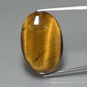 Oeil de Tigre Or Brun naturelle Coupe ovale, 19.99 ct, Opaque