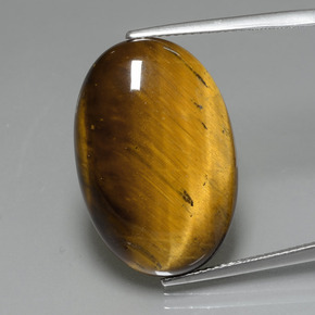Tiger's eye marron naturelle coupe ovale, 19,59 ct, opaque