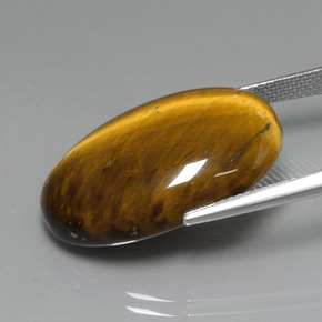 Tiger's eye marron naturelle coupe ovale, 19,59 ct, opaque