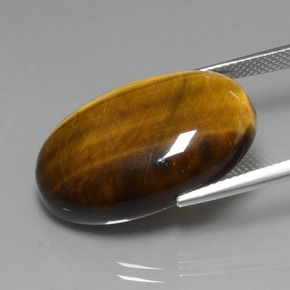 Tiger's eye marron naturelle coupe ovale, 20,74 ct, opaque