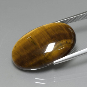 Tiger's eye marron naturelle coupe ovale, 19,40 ct, opaque