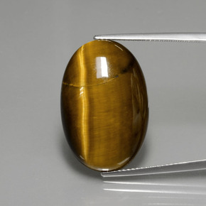 Oeil de Tigre Marron chaud naturelle Coupe ovale, 18.94 ct, Opaque