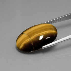 Oeil de Tigre Marron chaud naturelle Coupe ovale, 18.94 ct, Opaque