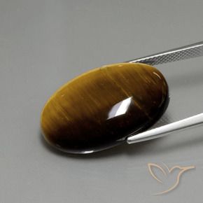 Oeil de Tigre Brun moyen naturelle ovale, 19.68 ct, Opaque