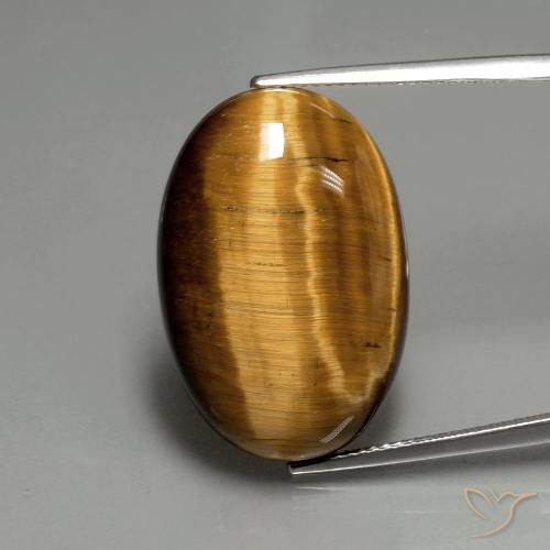 20.74ct Naturel Brun moyen Œil de tigre, ovale, Opaque