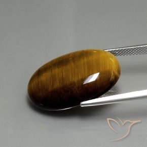 Œil de tigre Brun moyen naturelle ovale, 20.74 ct, Opaque
