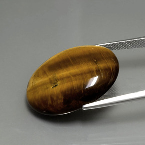 Tiger's eye marron naturelle coupe ovale, 22,43 ct, opaque