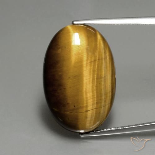 19.66ct Naturel Brun doré Œil de tigre, ovale, Opaque