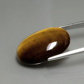 Tiger's eye marron naturelle coupe ovale, 20,21 ct, opaque