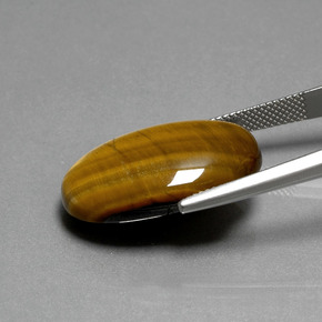 Tiger's eye marron naturelle coupe ovale, 19,87 ct, opaque
