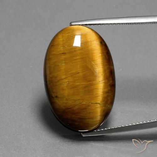 20.82ct Naturel Marron chaud Oeil de Tigre, ovale, Opaque