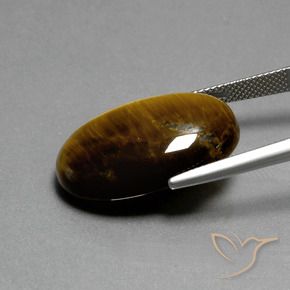 Œil de tigre Marron chaud naturelle ovale, 20.77 ct, Opaque