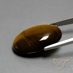 Œil de tigre Brun moyen naturelle ovale, 19.68 ct, Opaque
